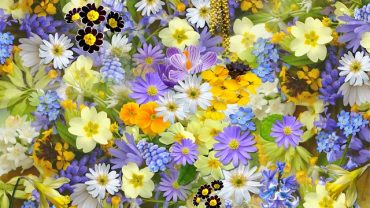 The Scala Infiorata of Caltagirone: An Explosion of Colors and Traditions in Sicily