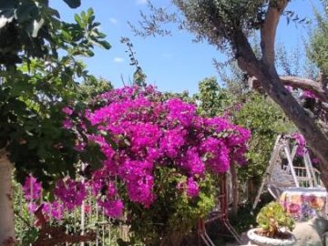 B&B La casa di Mariù